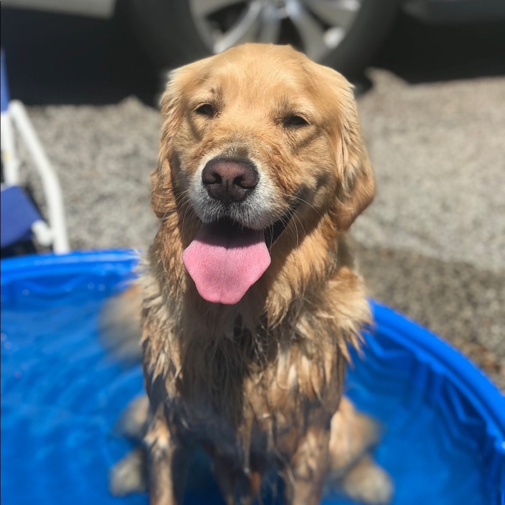 Meet your Posher, Chloe